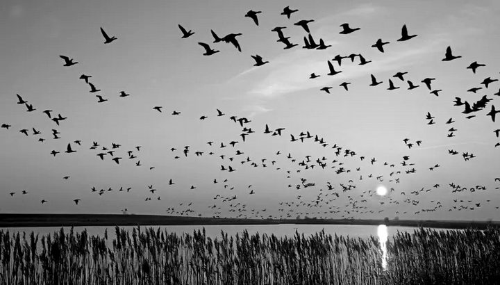 Flyway Migration Sets and Spring Boot